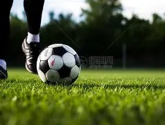 巅峰国际,产品,巅峰国际官网,巅峰国际,巅峰国际官网,巅峰国际H5官网