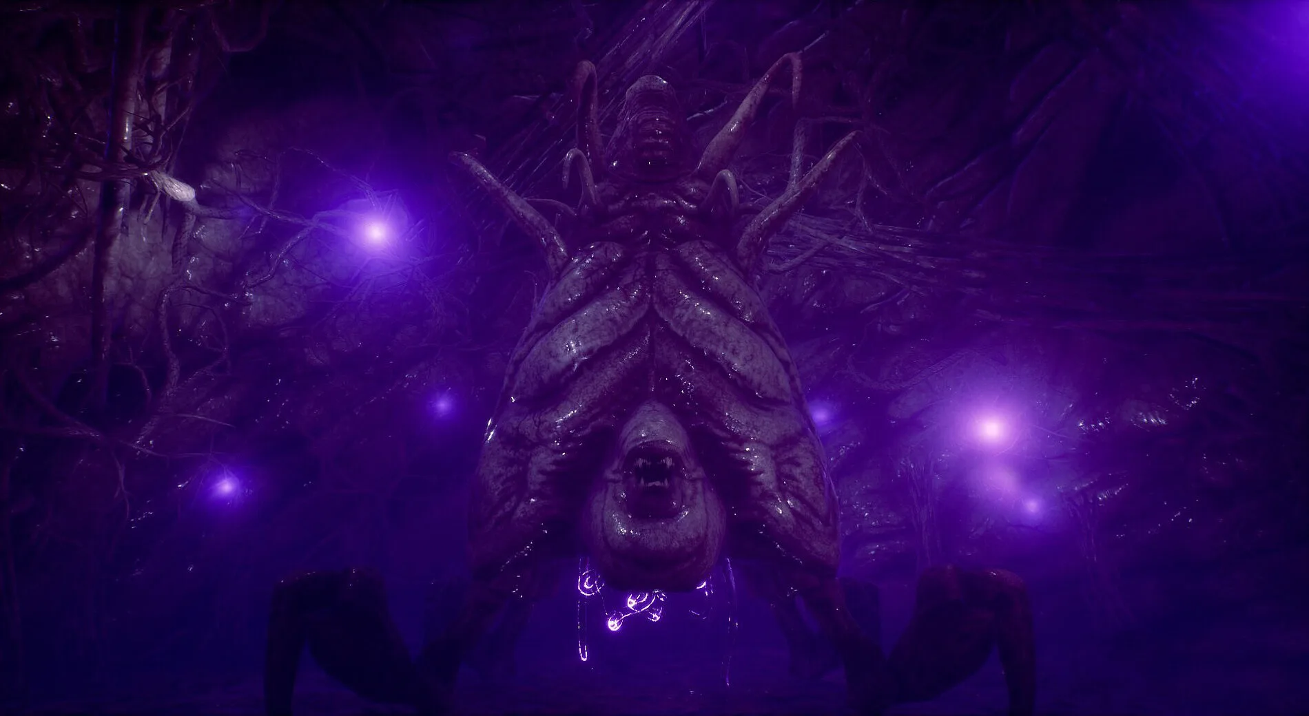 周三,英冠分析,诺维奇,巅峰国际,巅峰国际官网,巅峰国际H5官网