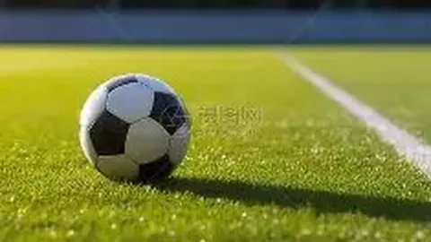 巅峰国际 产品 005558 hf0