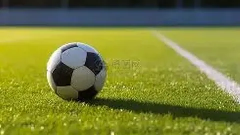 巅峰国际 产品 005617 dj5