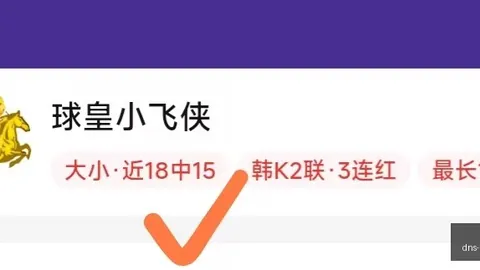 巅峰国际 165323 5